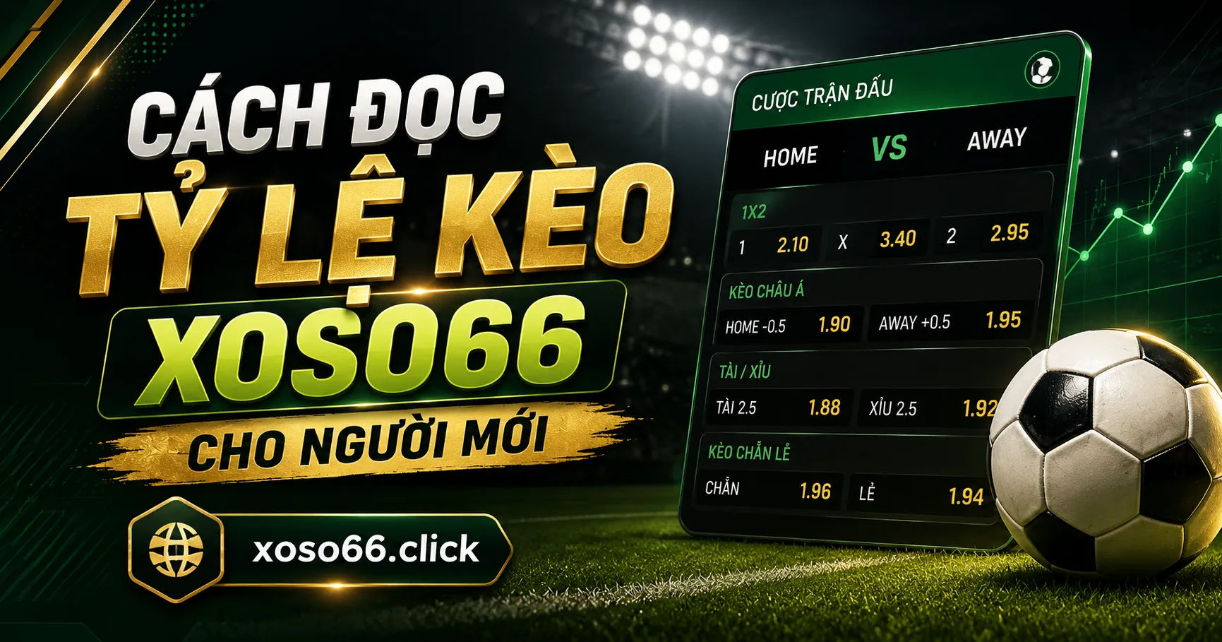 Cách đọc tỷ lệ kèo Xoso66 cho người mới